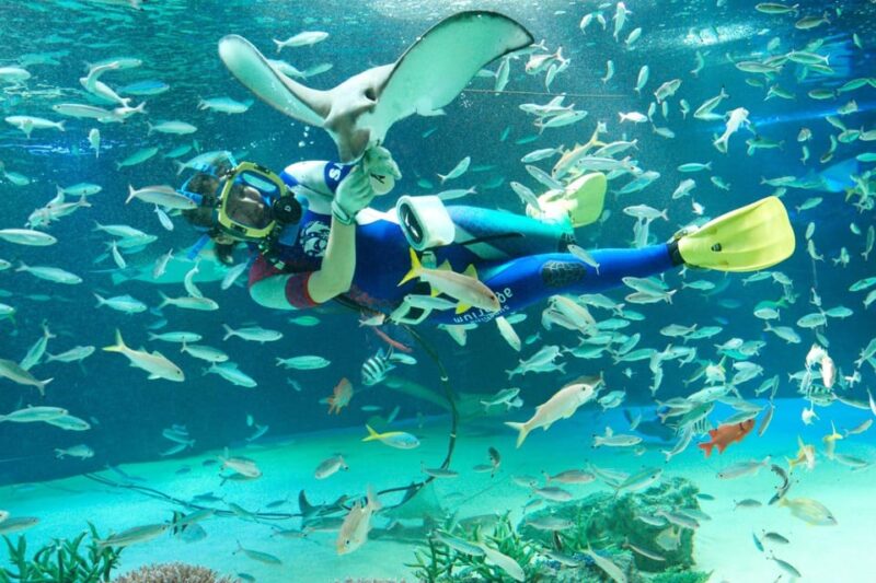 Tokyo: Sunshine Aquarium Entry Ticket - Key Points