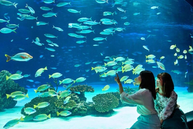 Tokyo: Sunshine Aquarium Entry Ticket - Accessibility and Group Size