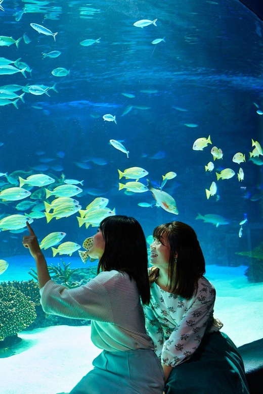 Tokyo: Sunshine Aquarium Entry Ticket - Getting to the Sunshine Aquarium