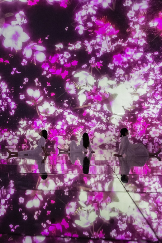 TOKYO: Teamlab Planets TOKYO Digital Art Museum Entry Ticket - Accessibility and Restrictions