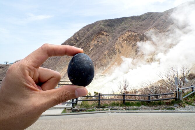Tokyo to Hakone: Mt.Fuji, Owakudani, Oshino Hakkai, and More - Meeting and Pickup Details