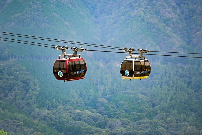Tokyo to Hakone: Mt.Fuji, Owakudani, Oshino Hakkai, and More - Tour Group Size and Confirmation