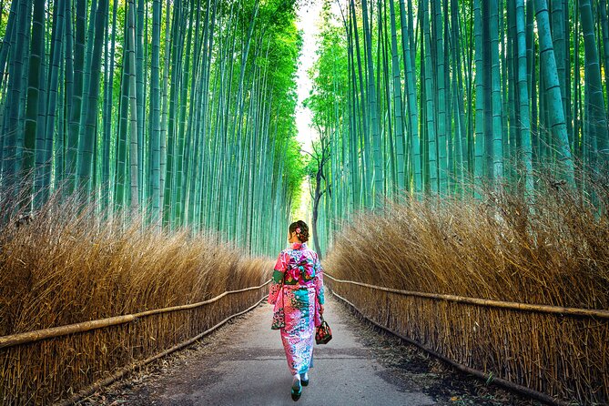 Tokyo to Kyoto 1-Full Day Private Guided Tour - Exclusions