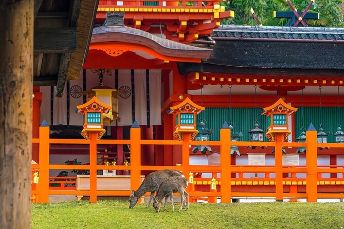 Tokyo to Kyoto and Nara One Full Day Private Tour - Policies