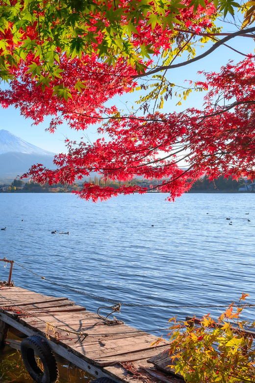 Tokyo to Mount Fuji A Full Day Private Tour From Tokyo - Itinerary Highlights