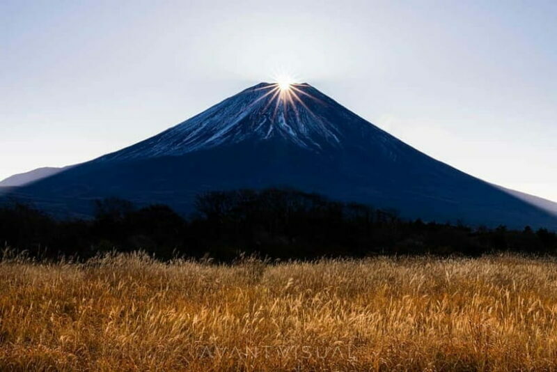 Tokyo To Mount FUJI Day Trip With English guide - What’s Included and What’s Not