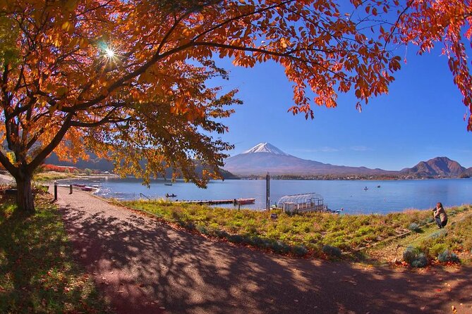 Tokyo to Mount Fuji Journey of a Lifetime Day Trip - Meeting Point and Pickup