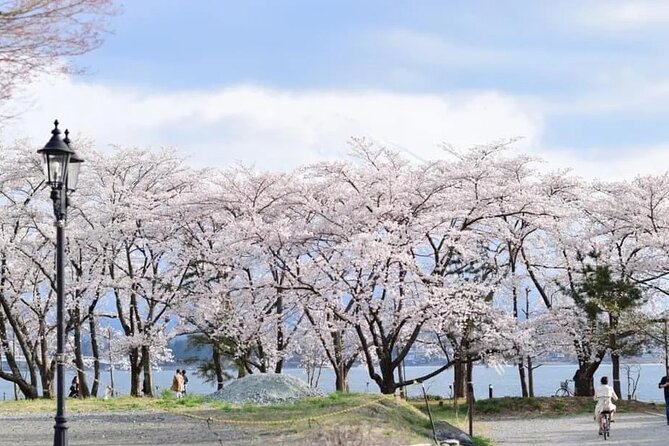 Tokyo to Mount Fuji Journey of a Lifetime Day Trip - Whats Included