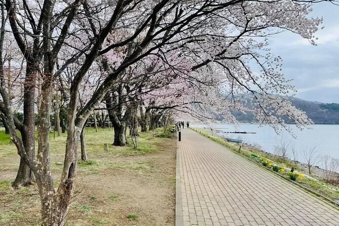 Tokyo to Mount Fuji Journey of a Lifetime Day Trip - Cancellation Policy