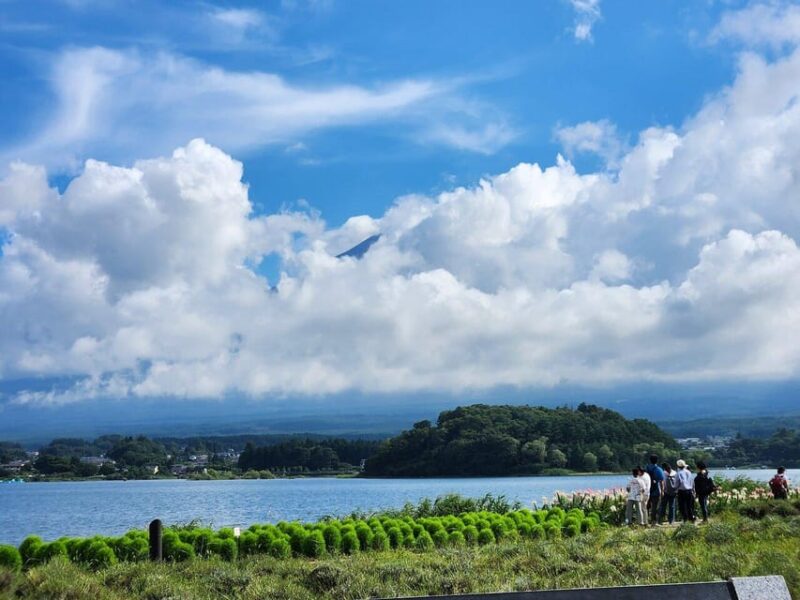 Tokyo to Mt Fuji 5 Lakes Private Tour Green Number Plate Car - Itinerary and Highlights