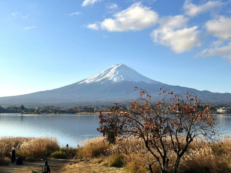 Tokyo to Mt Fuji 5 Lakes Private Tour Green Number Plate Car - Lake Kawaguchiko