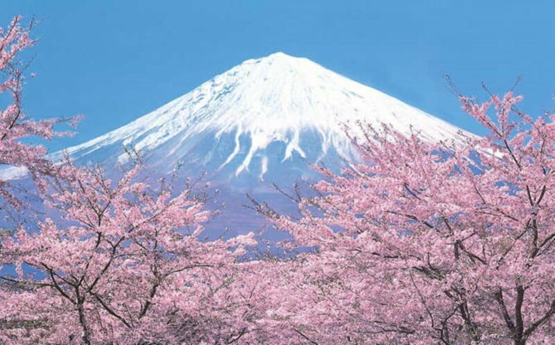 Tokyo to Mt. Fuji Area/Kawaguchiko Transfer Service - Key Points