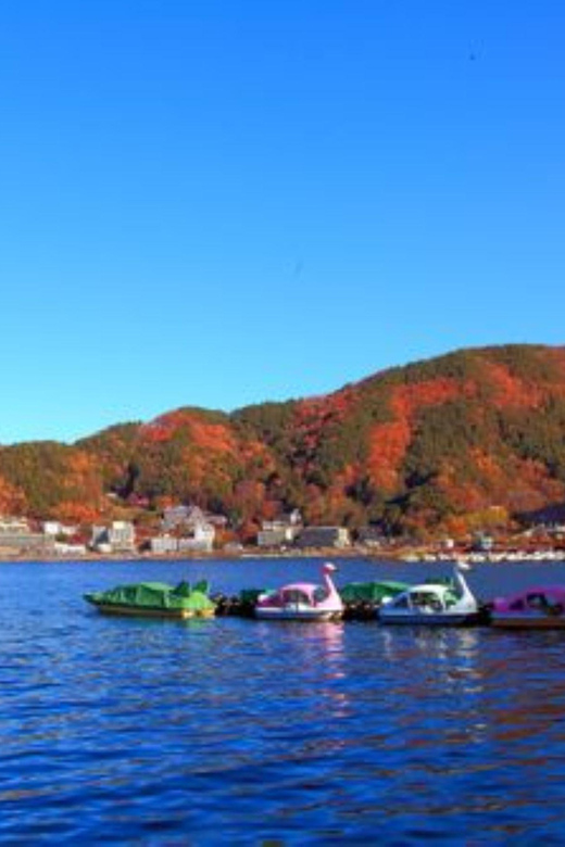 Tokyo to Mt. Fuji Area/Kawaguchiko Transfer Service - Vehicle Information