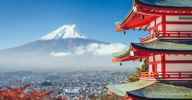 Tokyo to Mt Fuji Private Tour - Key Points