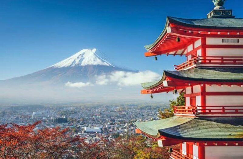 Tokyo to Mt Fuji Private Tour - Visiting Fujisan Hongu Sengen Taisha