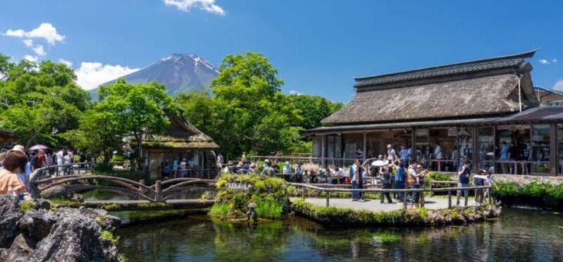 Tokyo to Mt Fuji Private Tour - Discovering Oshino Hakkai