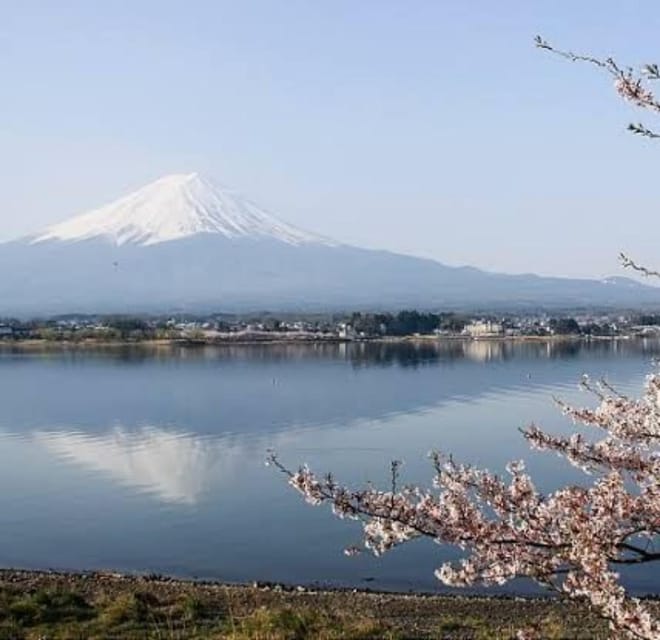 Tokyo to Mt Fuji Private Tour - Returning to Tokyo