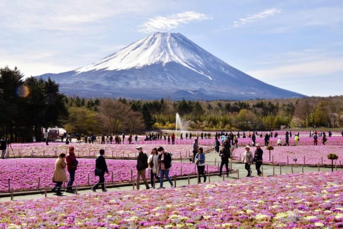 Tokyo to Mt Fuji Private Tour - Tour Inclusions and Restrictions
