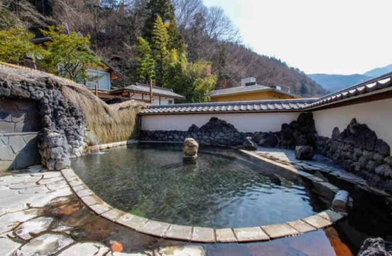 Tokyo to Nagano Snow Monkey Park & Shibu Onsen Private Tour - Jigokudani Monkey Park