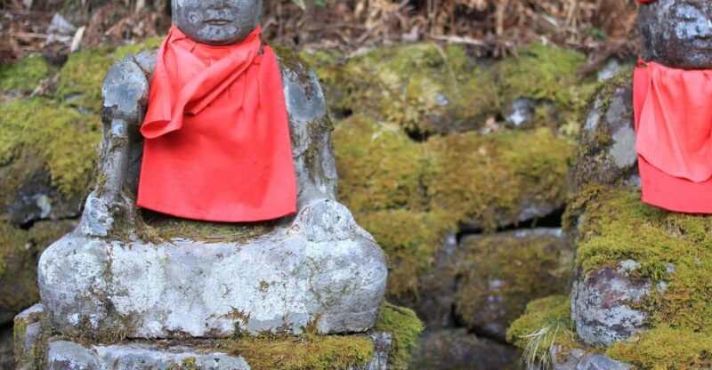Tokyo to Nikko: Exclusive Private Day Trip - Toshogu Shrine and Its Impressive Carvings
