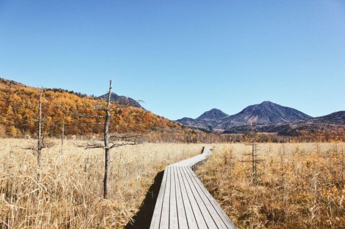 Tokyo to Nikko: Exclusive Private Day Trip - Personalized Itinerary and Local Guide