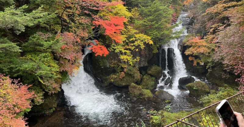 Tokyo to Nikko World Heritage Day Tour With English Guide - Important Information