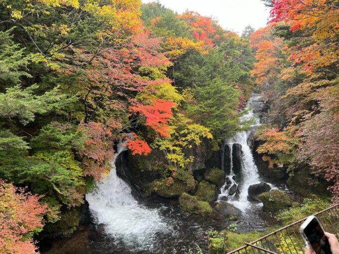 Tokyo to Nikko World Heritage Day Tour With English Guide - What to Bring
