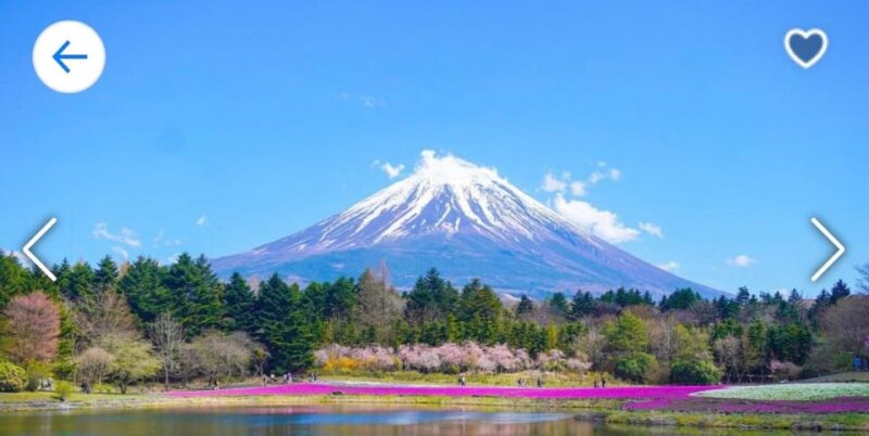 Tokyo to ;Private Trip to Mount Fuji and Lake Kawaguchi - Inclusions