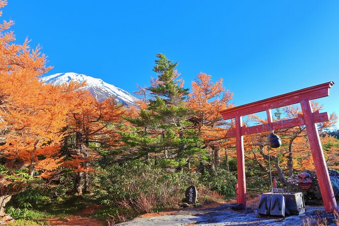 Tokyo to Takayama One Way Bus via Mt Fuji 5th Station - Meeting and Drop-off Information