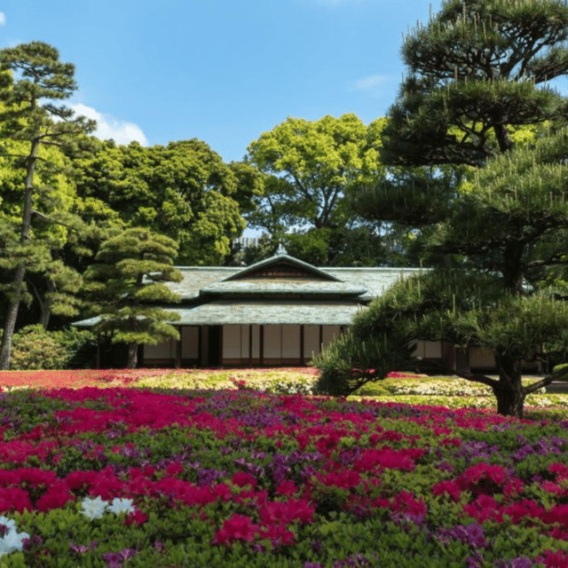 Tokyo: Tokyo City Must See Private Tour In Lavish Transport - FAQ