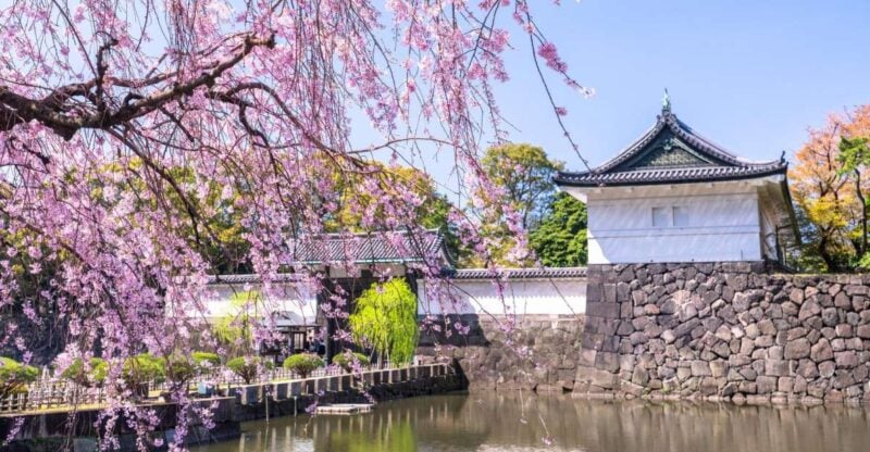 Tokyo: Tokyo Imperial Palace History Private Walking Tour - Tour Highlights