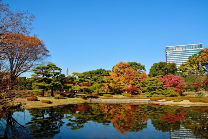 Tokyo: Tokyo Imperial Palace History Private Walking Tour - Practical Information