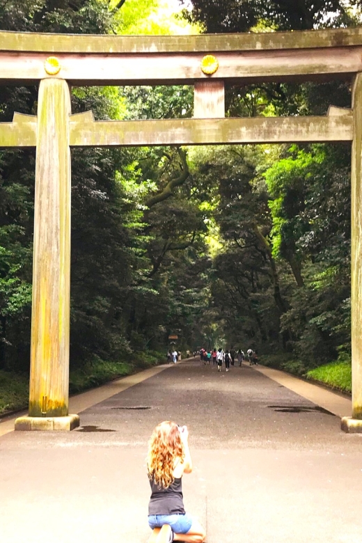 Tokyo Tour: 15 Top City Highlights Full-Day Guided Tour - Key Points