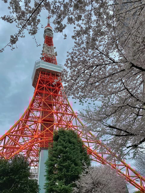 Tokyo Tour (Must Seeing Places in Tokyo) - Climbing Tokyo Skytree
