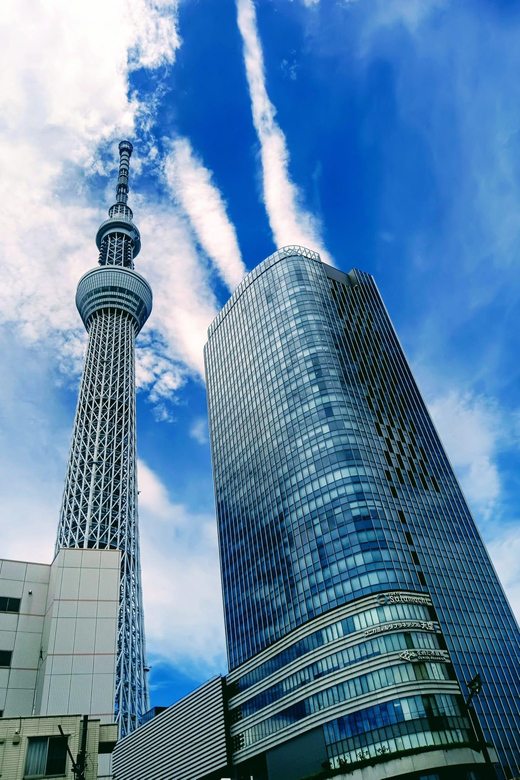 Tokyo Tour One Day Private Tour by Car With English Driver - Meiji Shrine