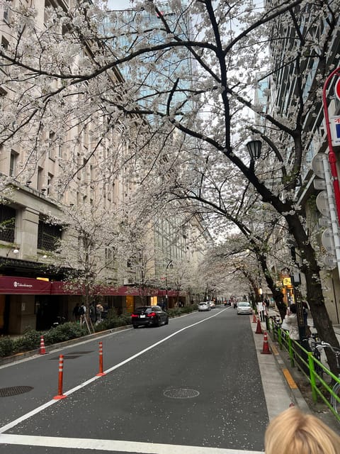 Tokyo Tour With Private Vehicle and English Speaking Guide - Experience and Activities