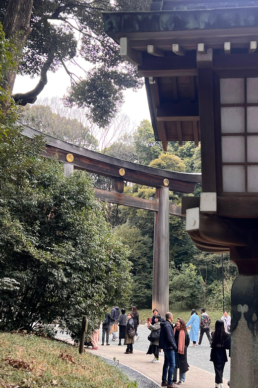 Tokyo Tour With Private Vehicle and English Speaking Guide - Customizing Your Experience