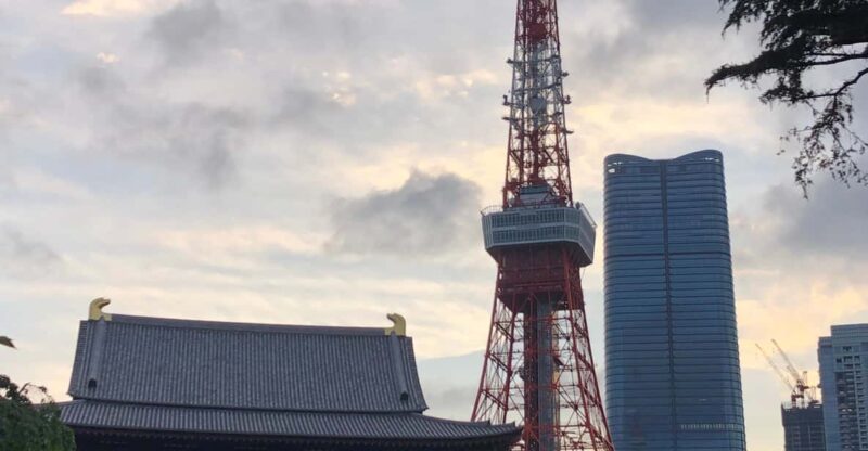 Tokyo Tours in English (Tsukiji Market-Ginza-Tokyo Tower) - Tour Highlights