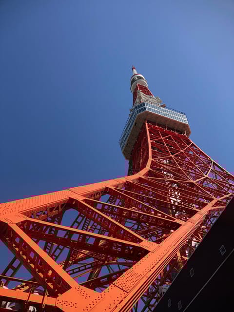 Tokyo Tours in English (Tsukiji Market-Ginza-Tokyo Tower) - Transportation Included