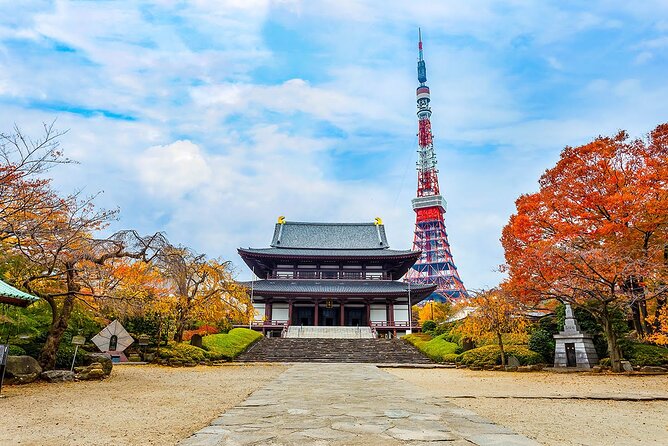 Tokyo Tower Observation Deck E-Tickets. - What to Expect at the Observation Deck