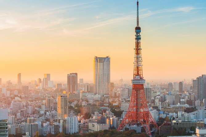 Tokyo Tower Observation Deck Experience With Ticket - Participation Guidelines