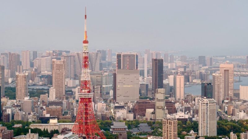 Tokyo Tower: Privat Tour, Day or Night With Local Guide - Observation Decks and Views