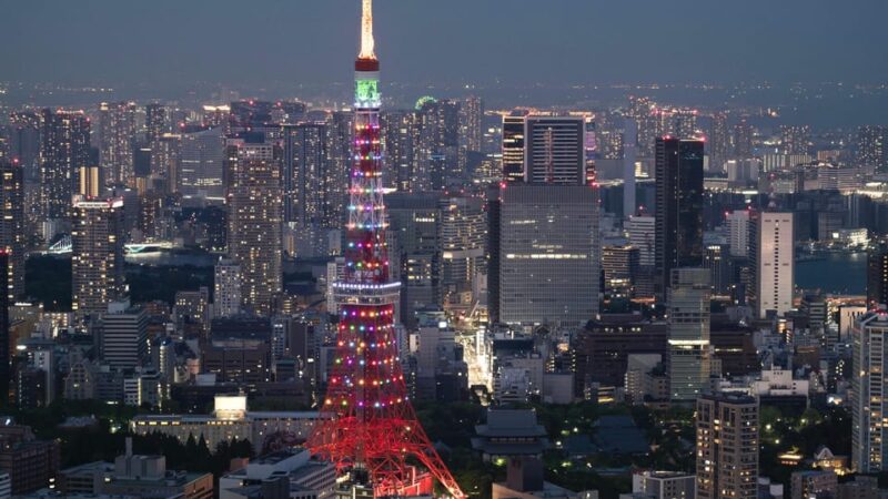 Tokyo Tower: Privat Tour, Day or Night With Local Guide - Convenient Accessibility and Pickup Options