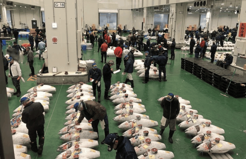 Tokyo: Toyosu & Tsukiji Market Adventure With Tuna Auction - Key Points