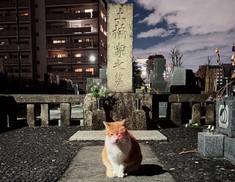 Tokyo: True Crime and Ghosts, Night Tour (3 Hours) - Itinerary Highlights