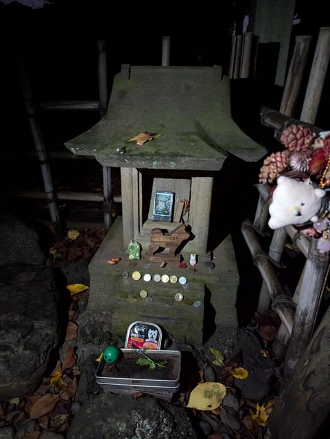 Tokyo: True Crime and Ghosts, Night Tour (3 Hours) - Kabukicho: Japans Organized Crime Capital