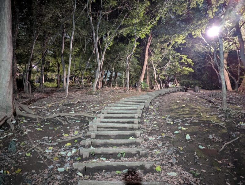Tokyo: True Crime and Ghosts, Night Tour (3 Hours) - Tour Recommendations