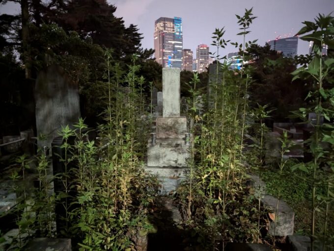 Tokyo: True Crime and Ghosts, Night Tour (3 Hours) - Frequently Asked Questions