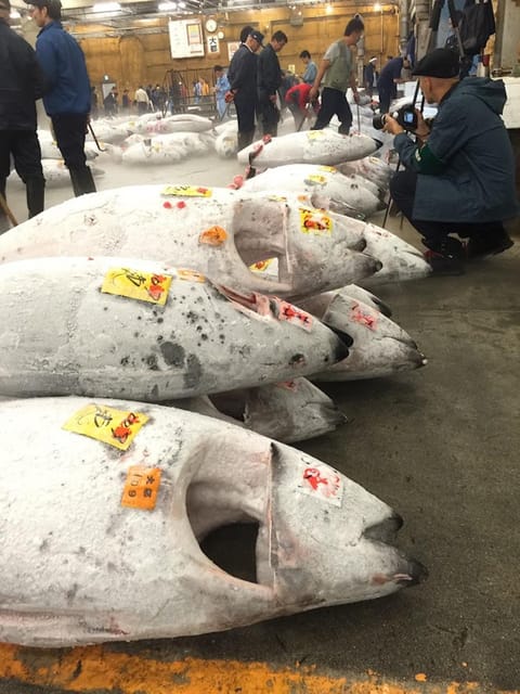 Tokyo: Tsukiji Fish Market Foodie and Educational Tour - Itinerary Highlights