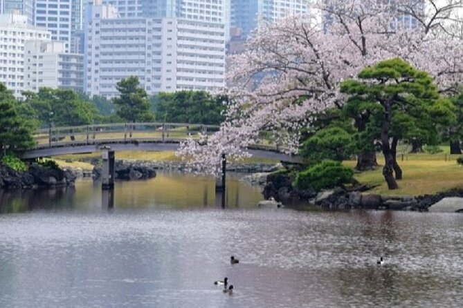 Tokyo Tsukiji & Hamarikyu Gardens Wellness Tour – Walk and Relax - Additional Information